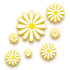 小黄花胎印 缩略图