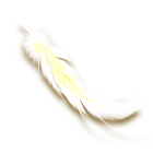 白色羽毛 缩略图