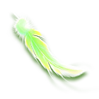 绿色羽毛 缩略图