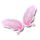 粉红蝴蝶羽翼 缩略图