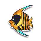 接吻鱼（大） 缩略图