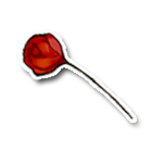 红色玫瑰 缩略图