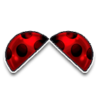 七星瓢虫翅膀 缩略图