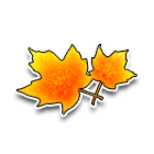 枫叶 缩略图