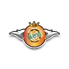 美年达车队大赛铜奖 缩略图