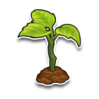 小树苗 缩略图