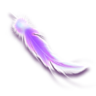 紫色羽毛 缩略图