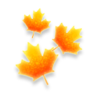 香山锦枫漂移特效 缩略图