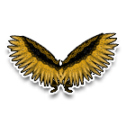 金华溢彩羽翼 缩略图