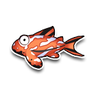 小丑鱼（大） 缩略图