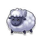 成年绵羊 缩略图