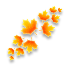 香山锦枫轮胎印 缩略图