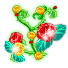 双色玫瑰前景 缩略图