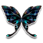 美艳青翅 缩略图