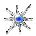 海洋之星 缩略图