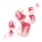 粉色郁金香胎印 缩略图