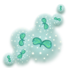 绿色活力幼芽轮胎印 缩略图