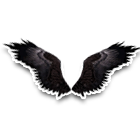 雏鹰之翼 缩略图