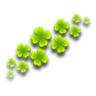 清爽四叶草胎印 缩略图