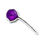 紫色精灵玫瑰 缩略图