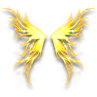 金叶蝶羽翼 缩略图