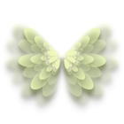 疾风悦羽羽翼 缩略图