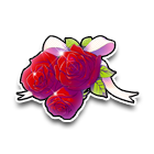 情人节玫瑰 缩略图