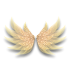 玲珑瑞金羽翼 缩略图