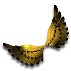 鹰击长空羽翼 缩略图