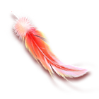 红色羽毛 缩略图