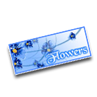 鲜花车牌 缩略图