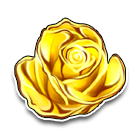 金玫瑰 缩略图