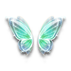 青岚幻彩羽翼 缩略图