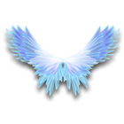 赤翔羽翼 缩略图