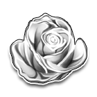银玫瑰 缩略图