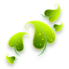 虎耳草胎印 缩略图