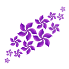 恋恋紫荆胎印 缩略图