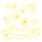 菊花炫光 缩略图