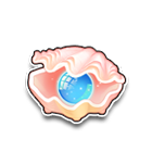 初夏贝壳 缩略图