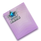 SSC全国总决赛亚军 缩略图