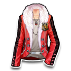 凌风之殇上装 缩略图