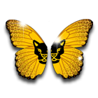 金蝴蝶花翅 缩略图