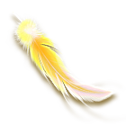 橙色羽毛 缩略图