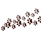 可爱梅花掌胎印 缩略图