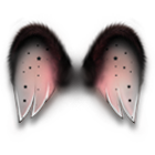 星之浅唱羽翼 缩略图